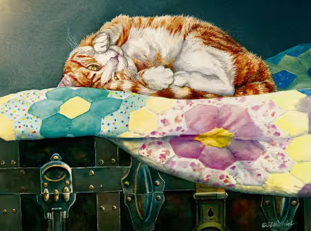 Comfortable Cat Puzzle 300pc