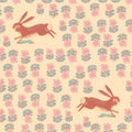 Blush Rabbit