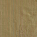 Skinny Stripe in Clover (REVERSIBLE)
