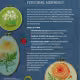 Birth Flower Embroidery